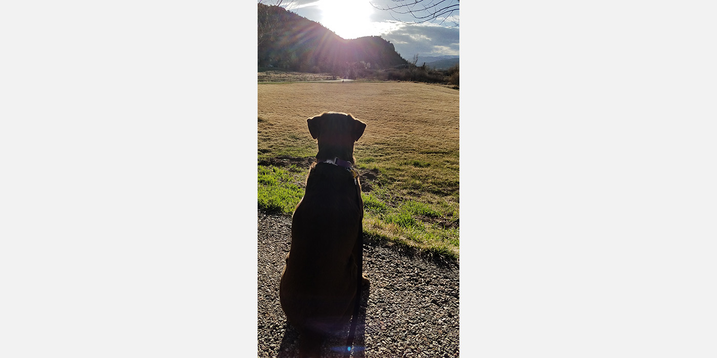Simba